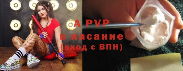 ПСИЛОЦИБИНОВЫЕ ГРИБЫ Новозыбков