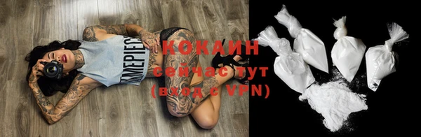 ПСИЛОЦИБИНОВЫЕ ГРИБЫ Новозыбков