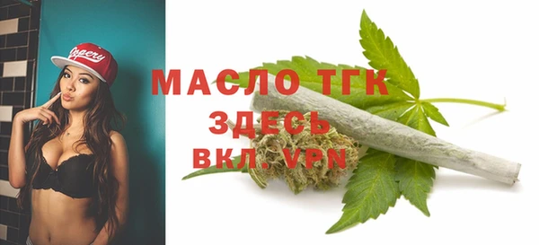 ПСИЛОЦИБИНОВЫЕ ГРИБЫ Новозыбков