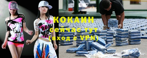 молекула духа Новокубанск