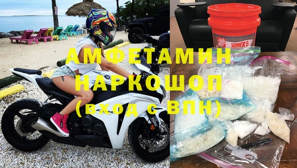 ПСИЛОЦИБИНОВЫЕ ГРИБЫ Новозыбков
