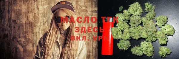 ПСИЛОЦИБИНОВЫЕ ГРИБЫ Новозыбков