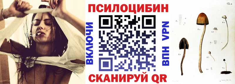 Псилоцибиновые грибы прущие грибы  Купить где  Тбилисская 